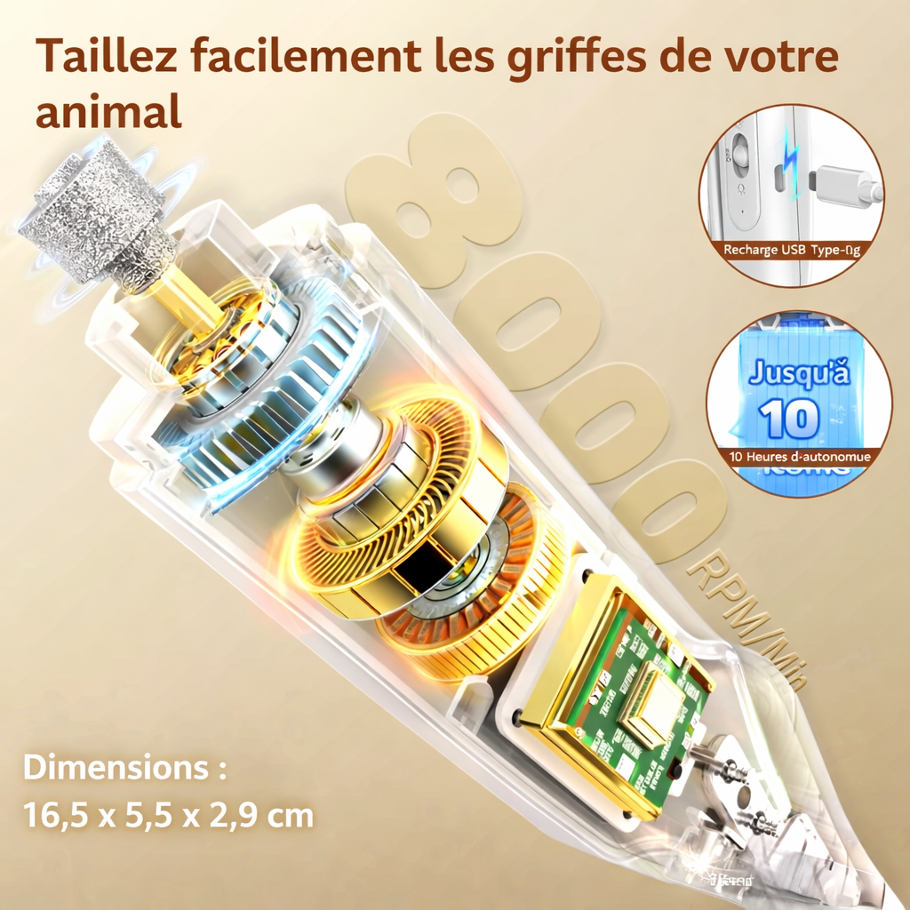 2 In 1 Pet Nail Clippers With Led Light Dog Cat Special Blood Line Scissors Multifunction Animals Paw Nail Trimmer Pet Supplies